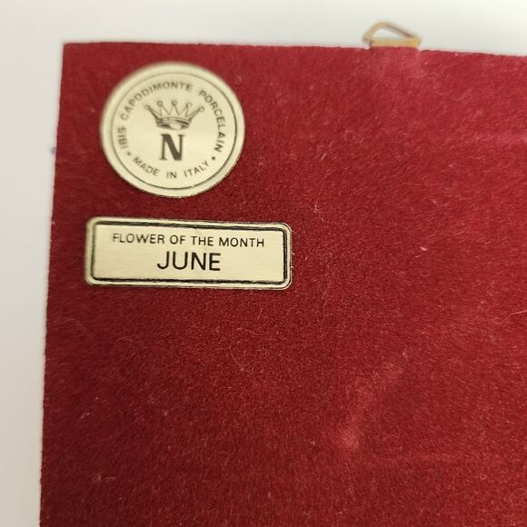 Set of 2 IBIS Capodimonte Porcelain Flower of The Month Framed Flowers - Picture 9 of 9